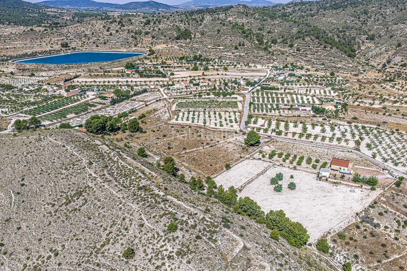 Foto e8ce4f41-ba04-4f51-ad7c-fbbc4b973405. Finca rústica a Monòver