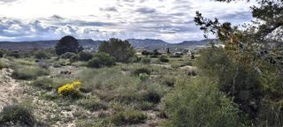Fondo rustico in Jubalcoi. Terreno  en la galiabonavista