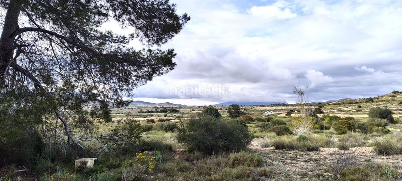 Foto 5d622873-49ea-4926-bafb-f2a1681c7635. Finca rústica a Jubalcoi Elche / Elx