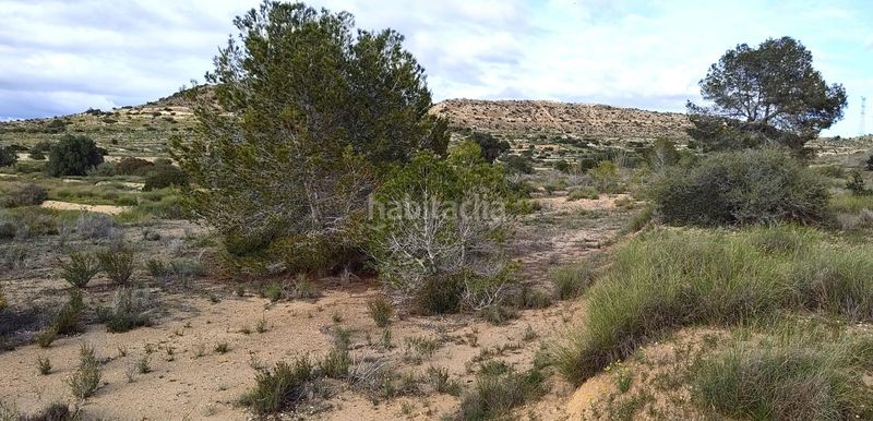 Foto 8abbfcc7-87b5-4802-8d51-ce51f9662f5d. Finca rústica a Jubalcoi Elche / Elx