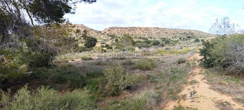Foto e75aea8b-5cd0-47a9-9ea8-a62c2a99119a. Finca rústica a Jubalcoi Elche / Elx