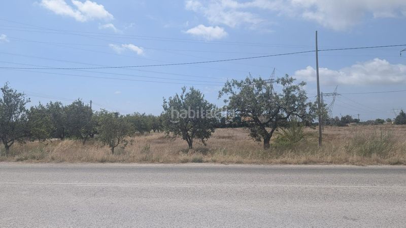 Foto 1627e12e-31e3-4423-81ee-8c76cd548f92. Finca rústica a Perleta - Maitino Elche / Elx