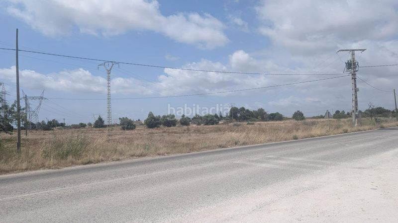 Foto b3e1ff44-17ae-483f-9319-10094e99db40. Finca rústica a Perleta - Maitino Elche / Elx