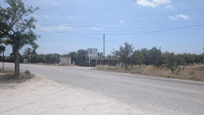 Foto fc70ae92-b726-4400-b9ad-123d11536dac. Finca rústica a Perleta - Maitino Elche / Elx
