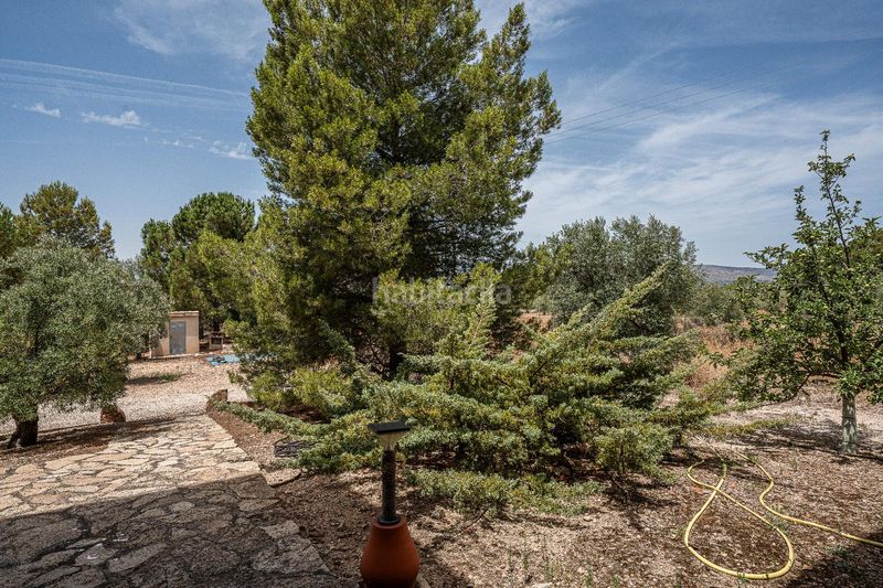 Foto ab12cb04-a2a9-4a2a-977c-f1bb7f2e3055. Masia amb calefacció aparcament a Biar