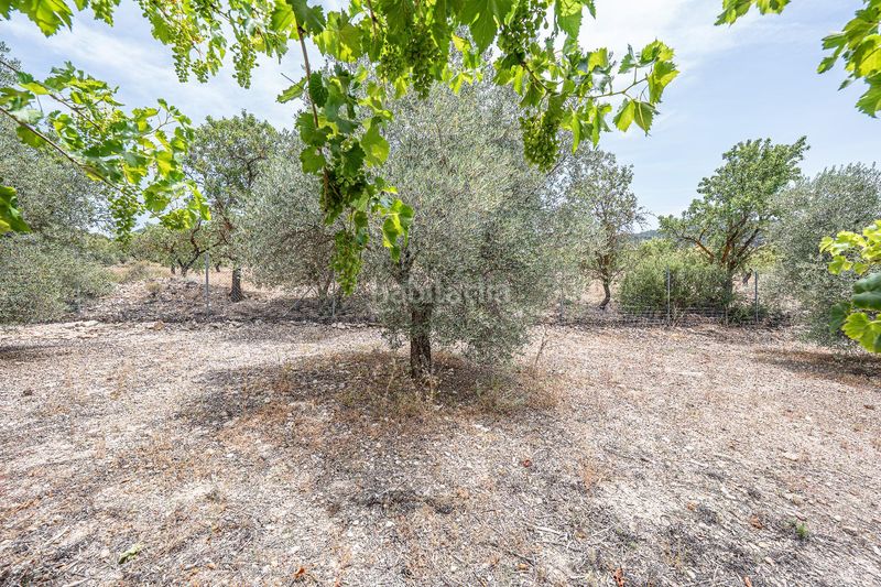 Foto c5c8d939-82c0-45a7-8d11-096901147463. Masia amb calefacció aparcament a Biar