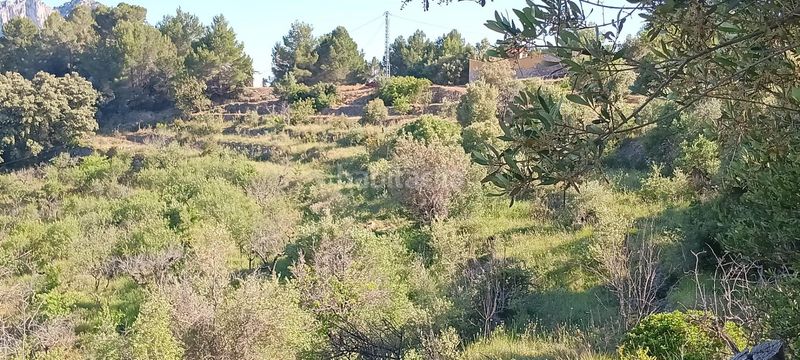 Foto f2768b8a-4500-4bce-94ab-1b3b8cee6da2. Finca rústica a Tárbena
