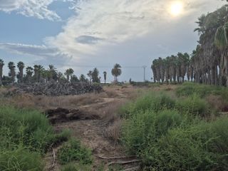 Finca rústica en Algorós - El Derramador