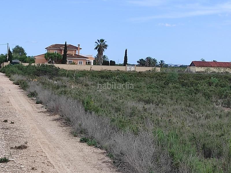 Foto 4d2e5197-c3e2-441f-998c-5bc7e43a2691. Finca rústica a Crevillente