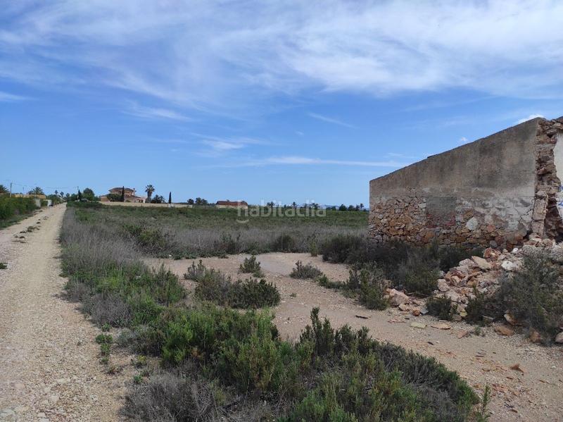 Foto e5beca4c-8fd9-4004-95bb-19f923d21193. Finca rústica a Crevillente