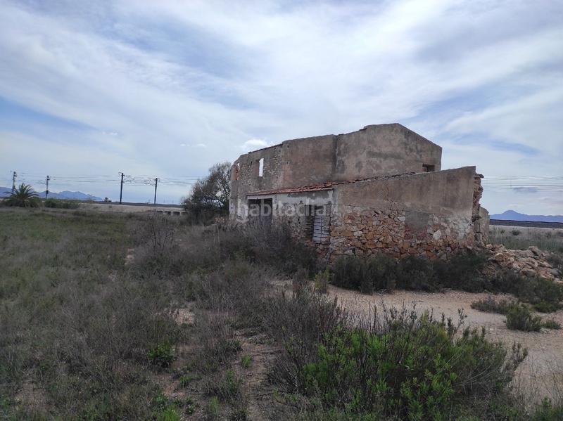 Foto f8a40998-e8b7-49a4-ba24-37d35ef67360. Finca rústica a Crevillente