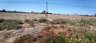 Finca rústica a Alzabares. Parcela rustica de 22400m2 en venta en elche.