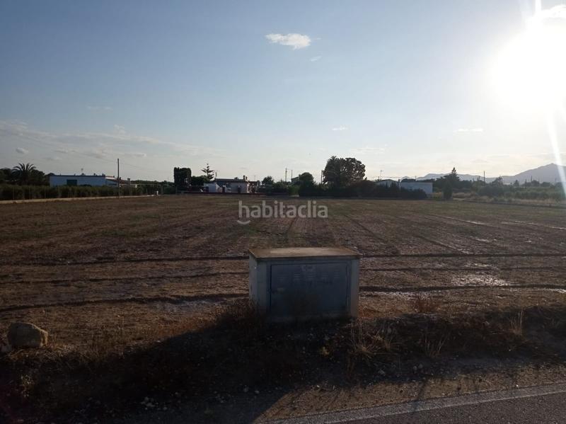 Foto cc870f39-9b35-4c86-a08a-876bba8c6d12. Landgut in La Algoda - Matola - Llano de San José Elche / Elx