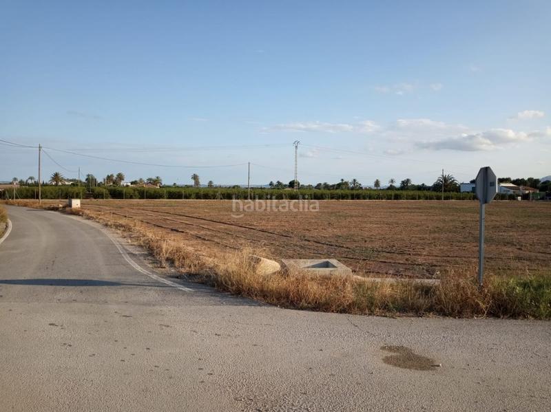 Foto bda0d347-7610-4634-be7f-28e2ef058803. Propriété dans La Algoda - Matola - Llano de San José Elche / Elx