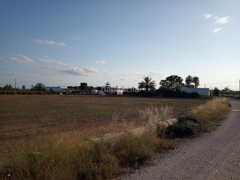 Foto e9464d27-c492-4b74-ad65-e3fbf2797142. Propriété dans La Algoda - Matola - Llano de San José Elche / Elx