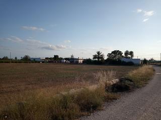 Finca rústica en La Algoda - Matola - Llano de San José