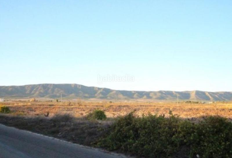 Foto ee19ed53-db9f-4edb-8161-de52a8d07f5b. Piso en partida ubeda 107 venta de piso en Pinoso