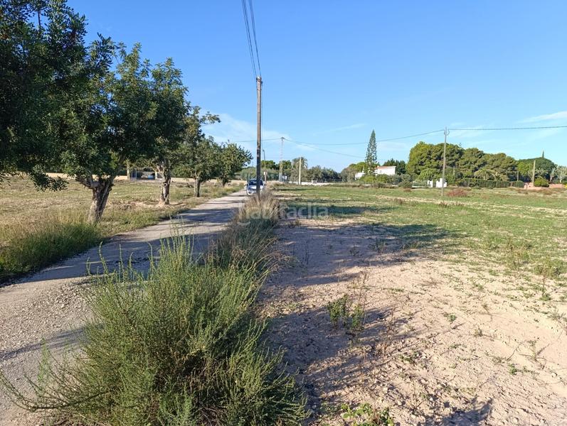Foto 7cc6db24-f864-47e5-a098-ae3e94d8e5ef. Terreno residenziale in calle carretera santa pola 10 in Elche / Elx