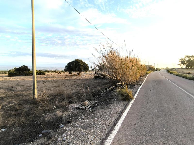 Foto 0f4aac09-86cc-4a78-9e64-e479acb72e8a. Fondo rustico in La Marina Elche / Elx