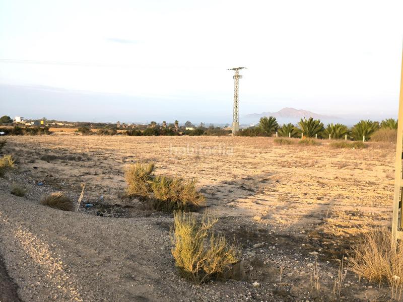 Foto 18bc8096-d879-43fa-b218-19f44f2ebbbb. Fondo rustico in La Marina Elche / Elx