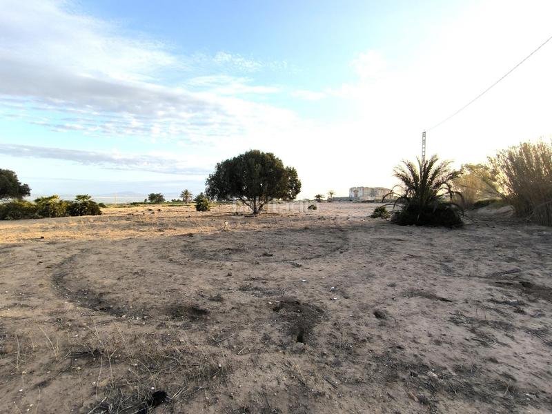 Foto 348f059e-e2fe-4d03-8ccf-d80cf4657a77. Fondo rustico in La Marina Elche / Elx