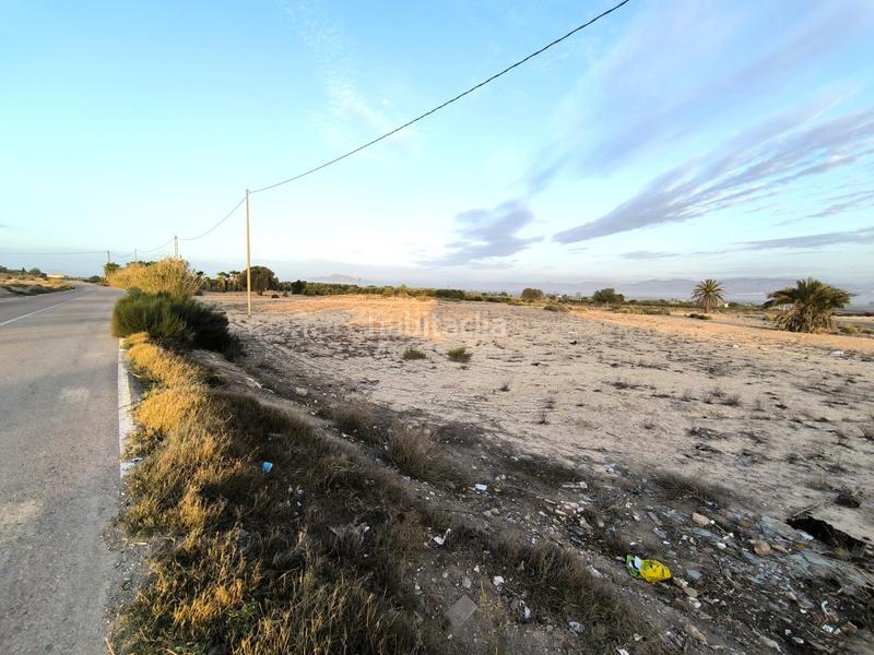 Foto 38d7d0c0-f9d7-4c78-b8dd-c1083e847158. Fondo rustico in La Marina Elche / Elx