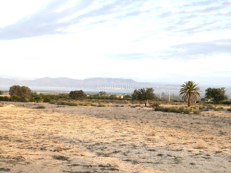 Foto 45fe3b69-e09e-4ac4-98fa-668c59aaebcf. Fondo rustico in La Marina Elche / Elx