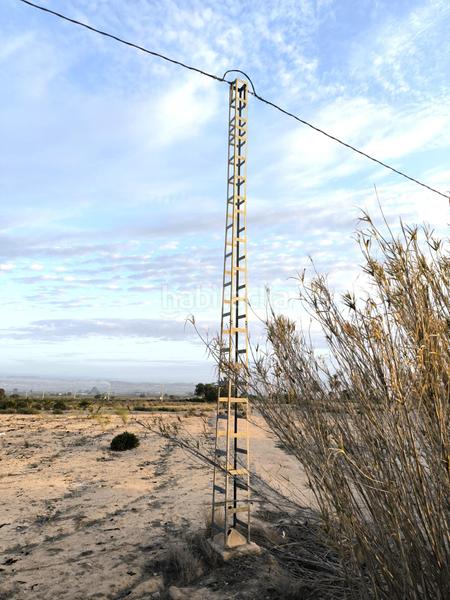 Foto 477733b8-9011-4093-bb77-fa5444bad0f0. Fondo rustico in La Marina Elche / Elx