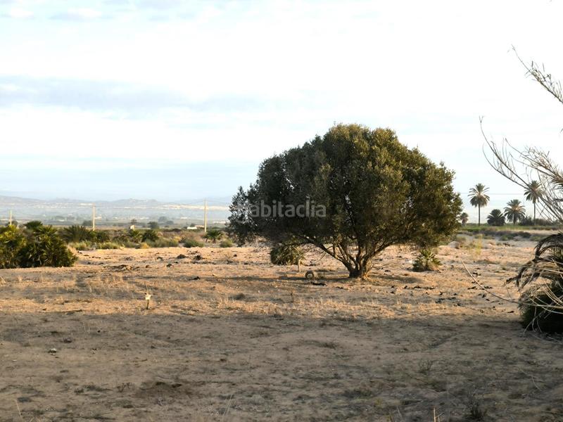 Foto 4f029494-00fb-4c70-8bbc-566daeebccd3. Fondo rustico in La Marina Elche / Elx