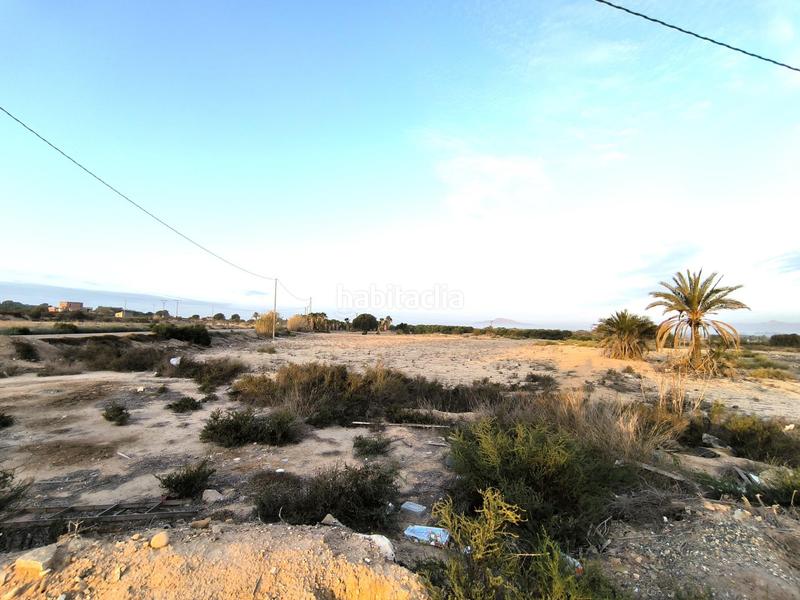 Foto 6384d000-3239-4ba8-82ef-c42ae6a38bfe. Fondo rustico in La Marina Elche / Elx