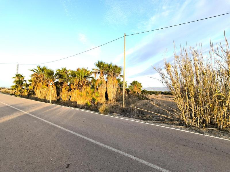 Foto 6ca2542b-f9a7-4b64-babe-7183ff94308a. Fondo rustico in La Marina Elche / Elx