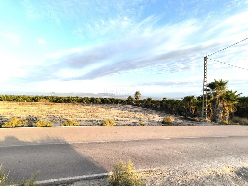 Foto 739ea3ea-fe6f-4e3c-8ad3-47d9efc5afdf. Fondo rustico in La Marina Elche / Elx