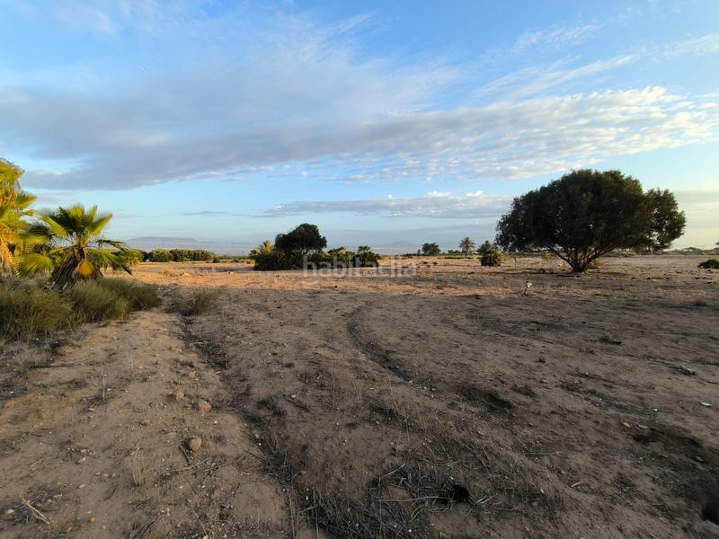 Foto 8506f2a7-b28d-4213-885f-5b3e193d22c2. Fondo rustico in La Marina Elche / Elx