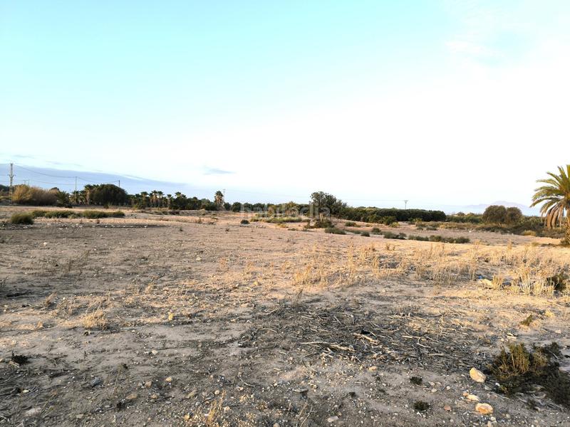 Foto 98e78a2f-e637-46b1-8e8d-672168d3dc5e. Fondo rustico in La Marina Elche / Elx