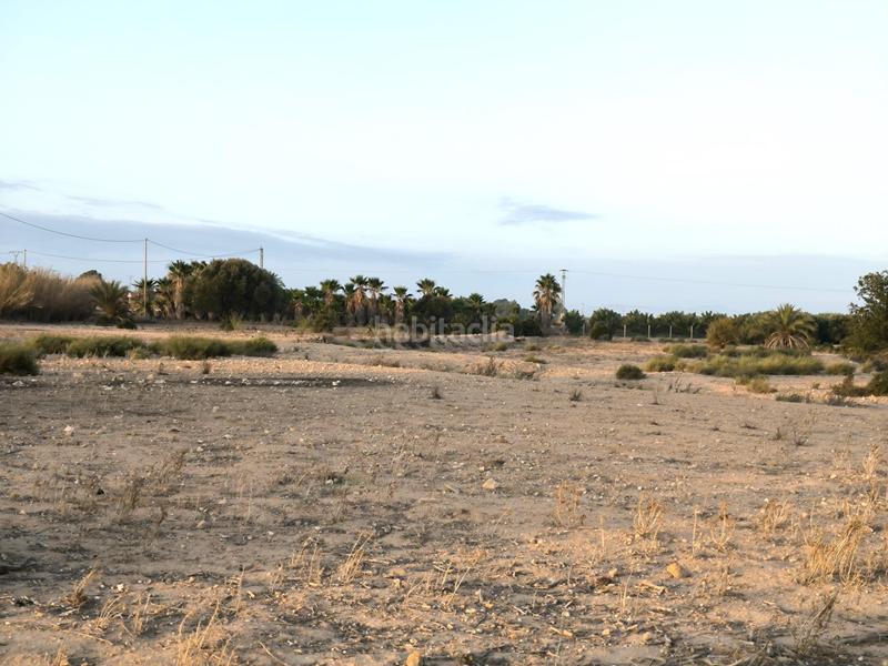 Foto c163cdc9-d943-4d02-bf2d-4caee88d3a10. Fondo rustico in La Marina Elche / Elx