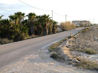 Finca rústica a La Marina. Finca rustica en la pedania de marina el molar elche alicante