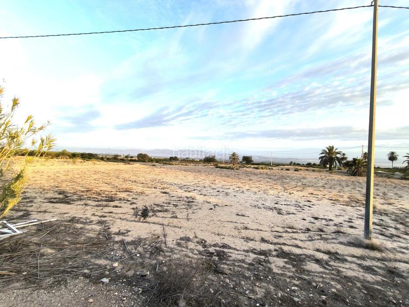 Foto c9a9a021-a856-45db-81b9-074cf8c3163d. Fondo rustico in La Marina Elche / Elx