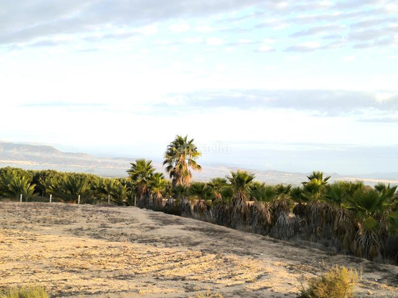 Foto d7c1d960-d44f-4cc6-bd45-1e6130374c68. Fondo rustico in La Marina Elche / Elx