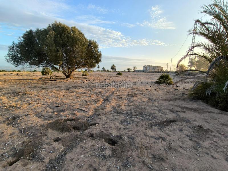 Foto f2127817-c08b-401b-bc30-6c69a51ae66d. Fondo rustico in La Marina Elche / Elx