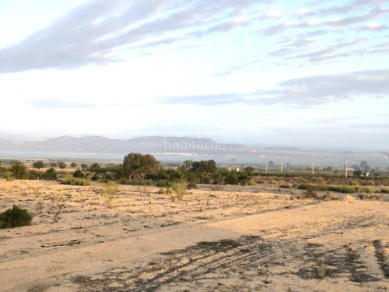 Foto fd0de725-5e65-4c0e-b9a9-e2c408e31fe6. Fondo rustico in La Marina Elche / Elx