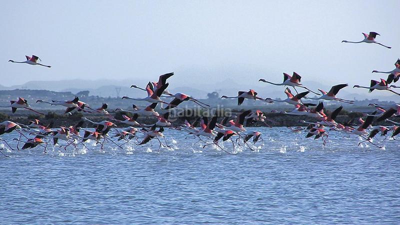 Foto b0974e44-9cc1-4d01-8528-03fb2a682f24. Apartamento  en alicante alacant en Panorama-Sierramar Santa Pola