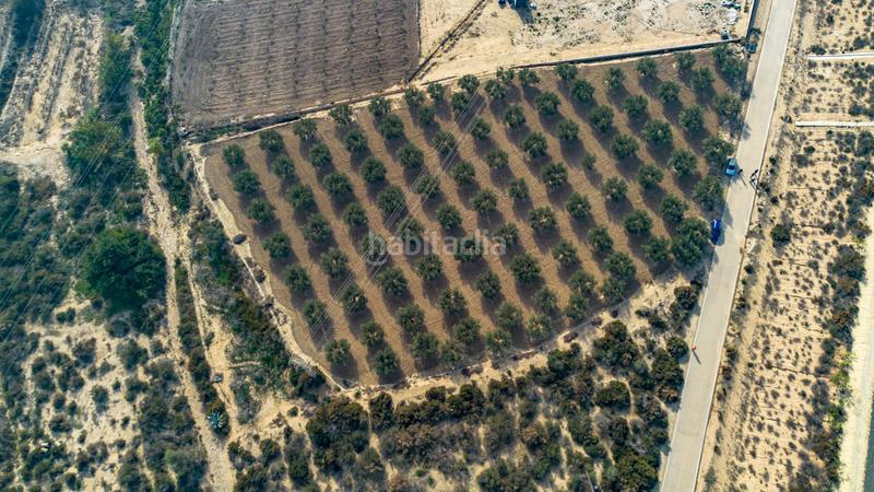 Foto 65b0a3ff-346f-4ae1-bc54-b18cd8c9f5e3. Finca rústica en polígono parcela 66-65 16 olivares en Crevillente