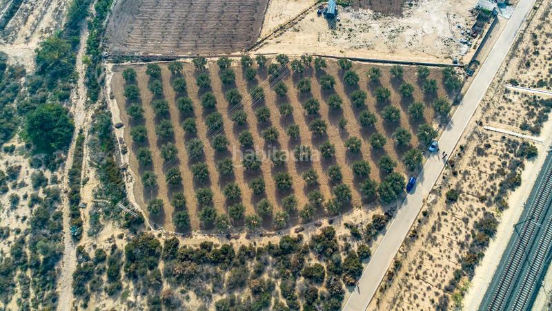 Foto e8861833-6195-48dc-ad82-d129e2f50694. Finca rústica en polígono parcela 66-65 16 olivares en Crevillente