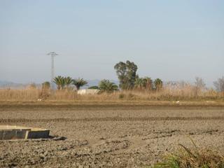 Wohngrundstück in Nord. Tierra de arroz en venta