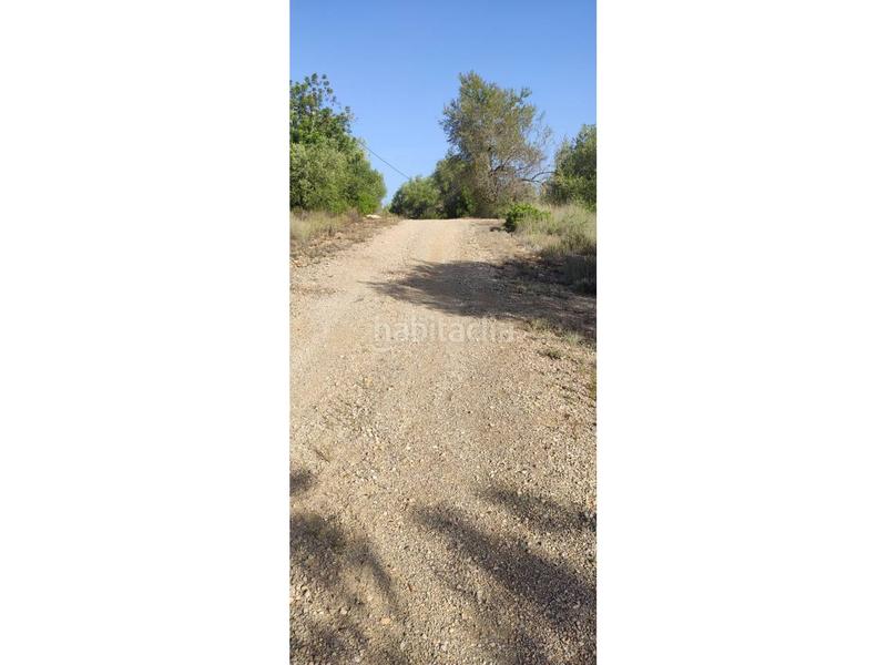 Foto 8f5fd963-00db-42df-9d34-5a59bea78edc. Terreno residenziale in Eucaliptus - Poble Nou del Delta Amposta