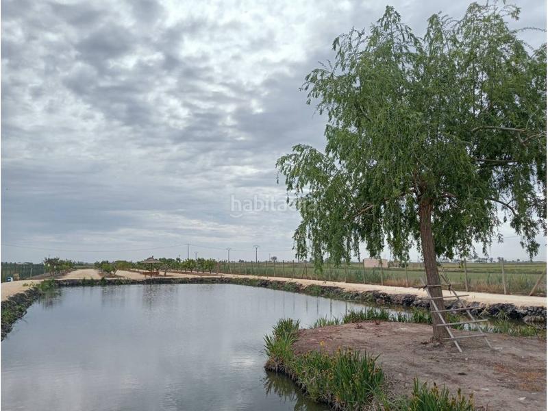 Foto a7c87566-30bc-45a8-accf-b922c3ab38e6. Casale con riscaldamento parcheggio piscina in Eucaliptus - Poble Nou del Delta Amposta