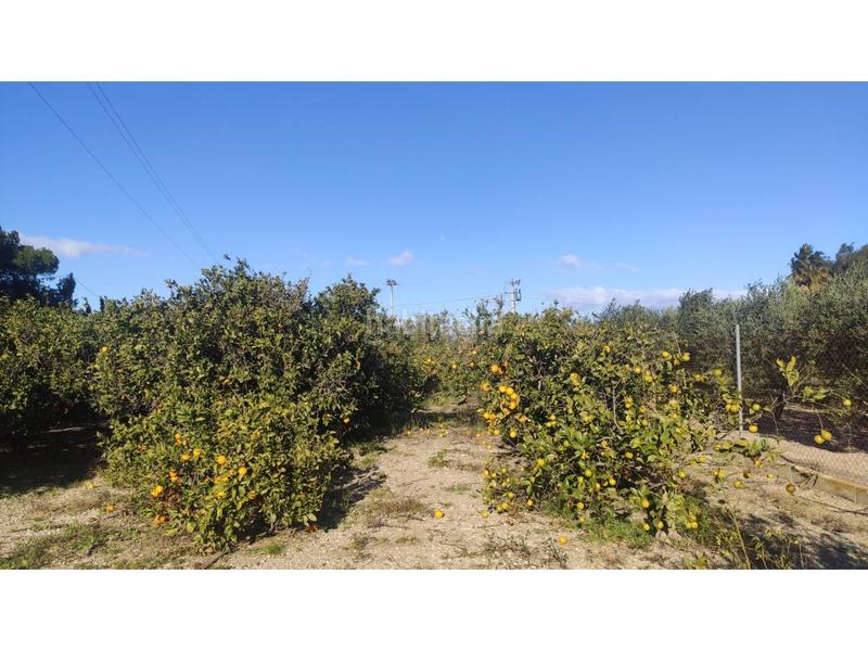 Foto 5f48d65b-c083-464d-a5cf-5d89bbc53296. Landgut in Nord Sant Carles de la Ràpita