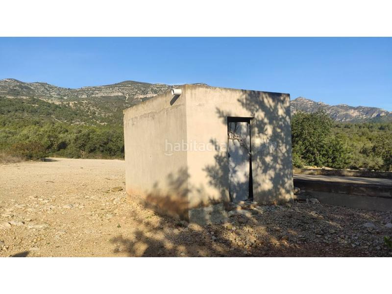 Foto 06b5b767-88a6-4347-958d-5a99c3ee412a. Fondo rustico in Alcanar