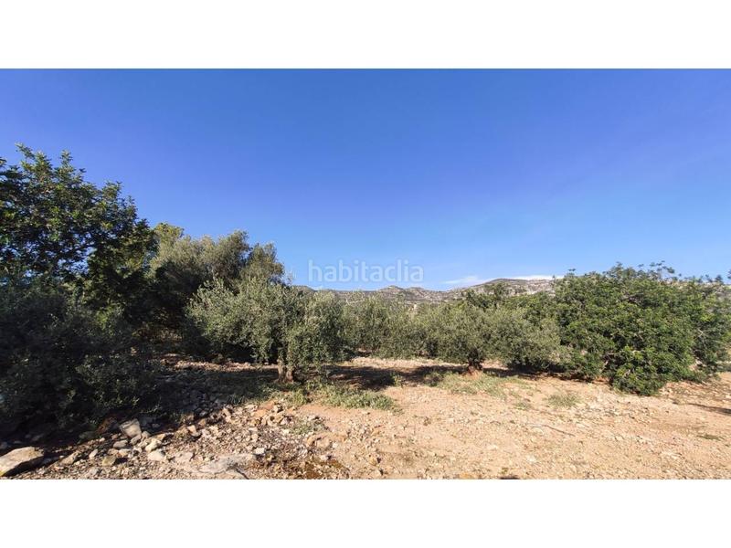 Foto 082b1b1e-6ec7-4856-a736-3cc225650a40. Fondo rustico in Alcanar