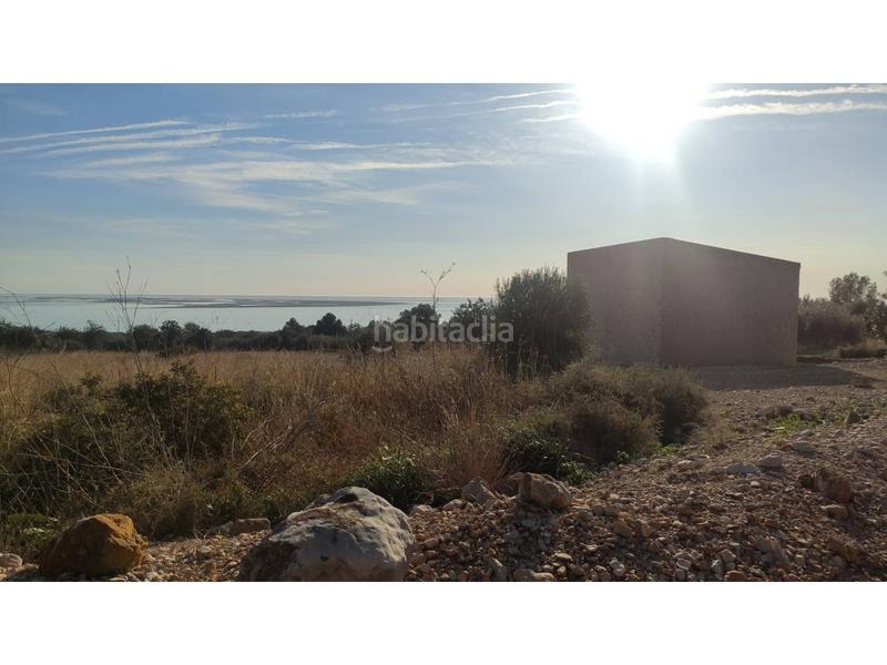 Foto 0ce6c2e1-705a-4f3a-ad32-1fde62281ac5. Fondo rustico in Alcanar